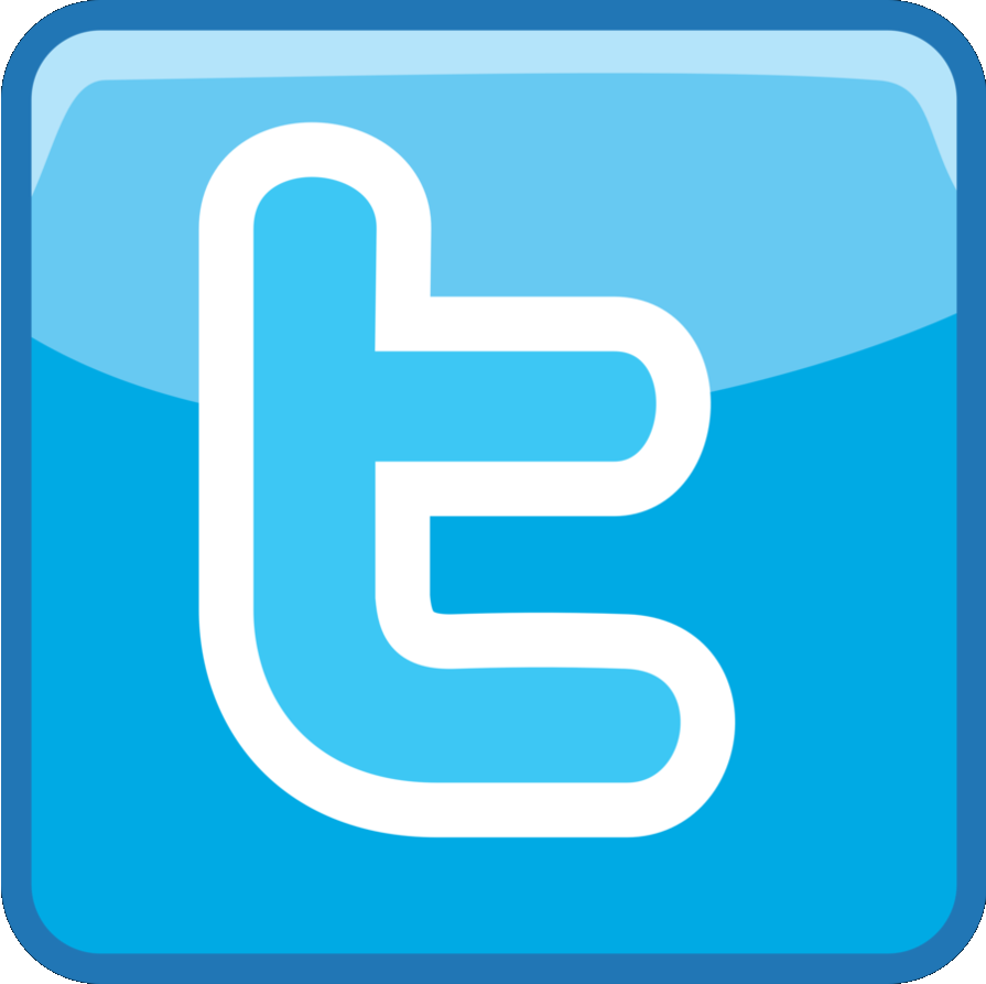 Twitter-logo | Meat The Press - 895 x 893 png 45kB